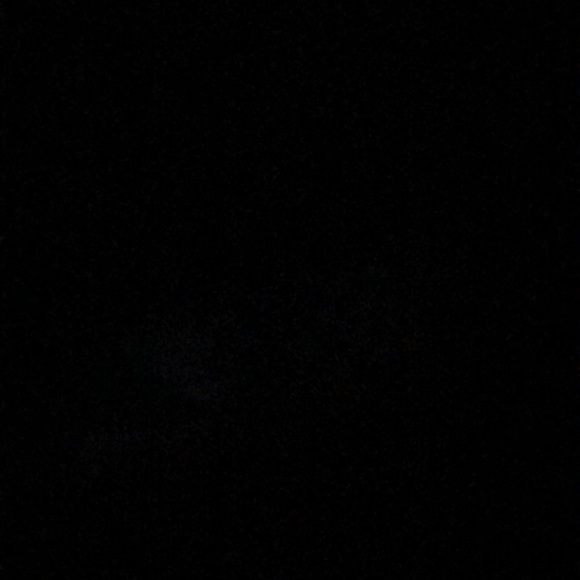 Meet your Posher, Ruby - Picture 1 of 1